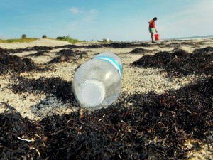 An empty plastic water bottle on the beach.