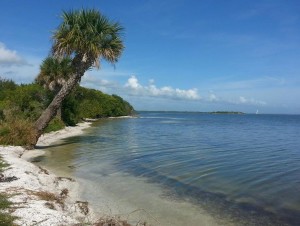 Spoil_Islands_Titusville__Florida