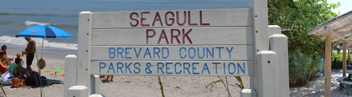 seagull park satellite beach
