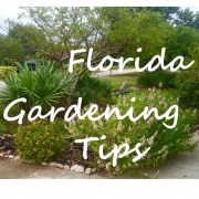 Florida S Best Edible Natives Keep, Best Low Maintenance Outdoor Plants For Florida