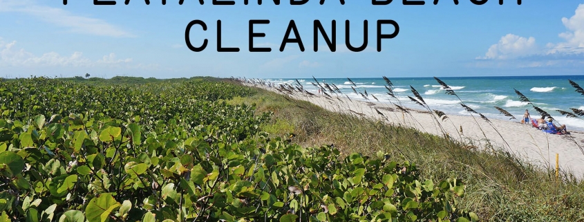 Playalinda Beach Cleanup