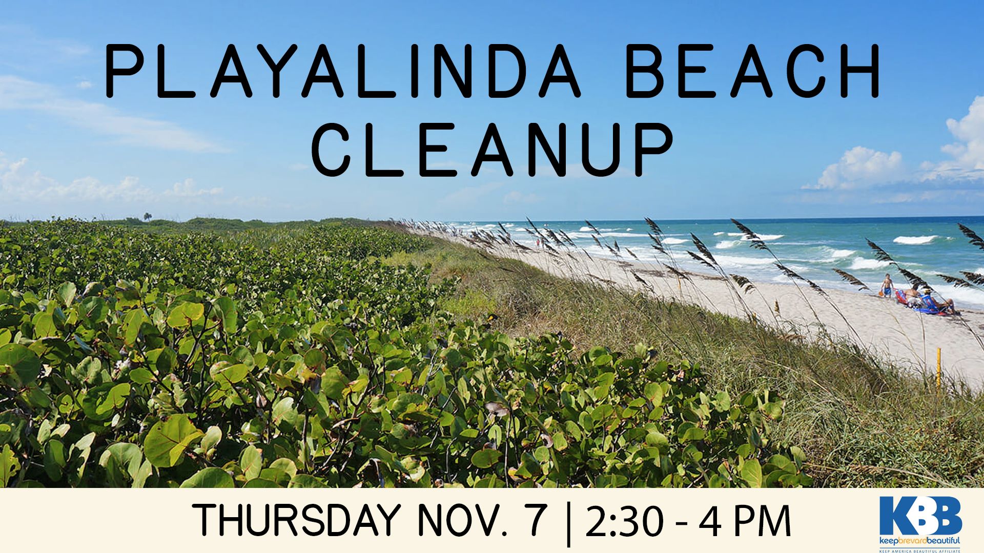 Playalinda Beach Cleanup