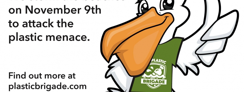 The Plastic Brigade - Space Coast Beach Clean-Up