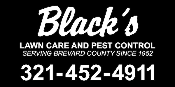 Blacks lawn care and pest service