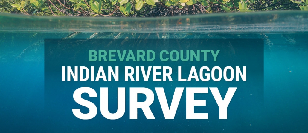 Brevard County is conducting a survey to learn more about how residents interact with the Indian River Lagoon.